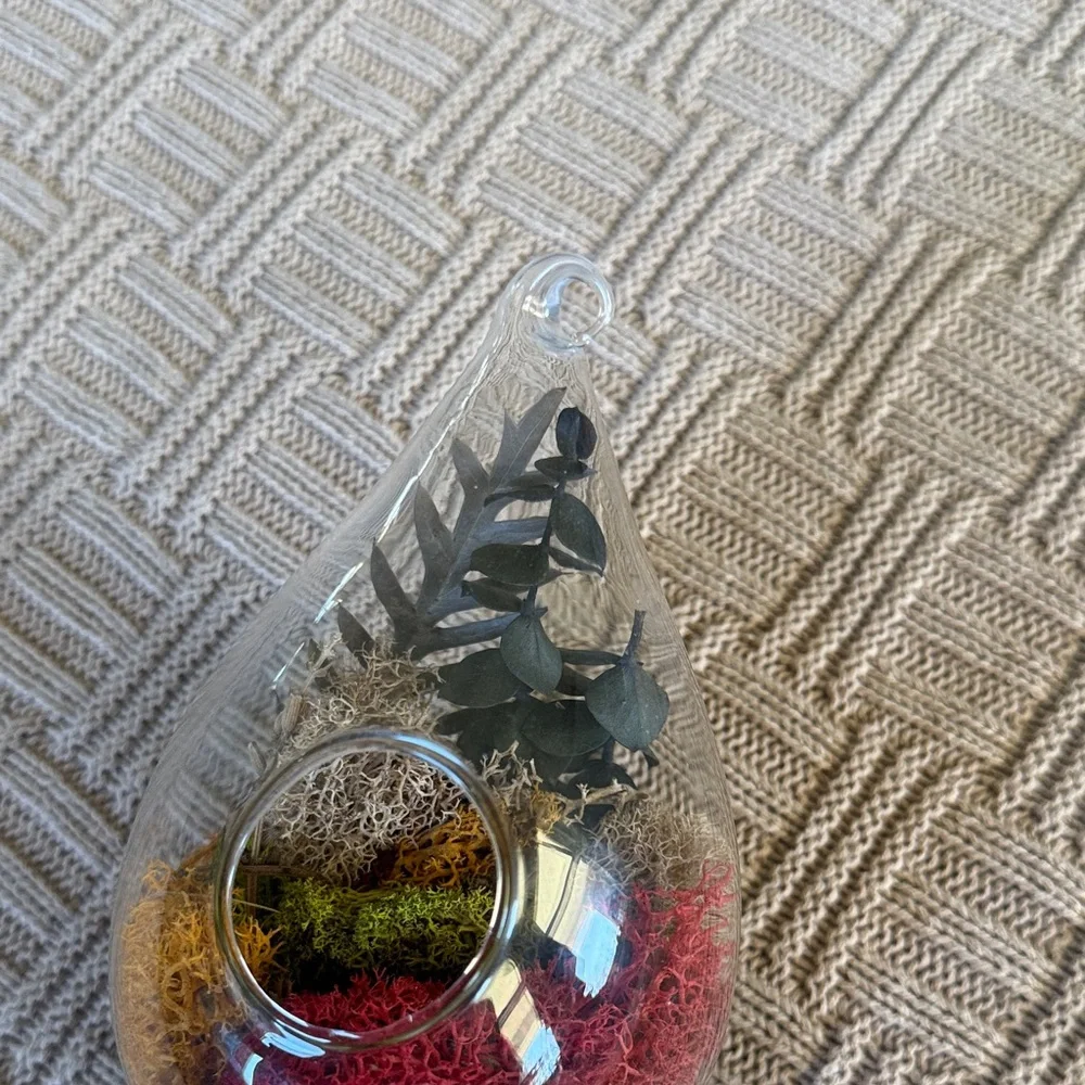 Glass Teardrop Hanging Terrarium with Red, Yellow, and Green Moss - Picture 6 of 10